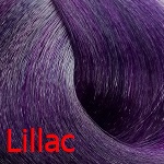 Лиловый Краска Shot Power Color Лиловый